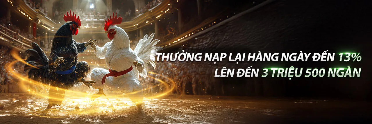 Đá Gà 67 - Trang chủ trải nghiệm trực tiếp
